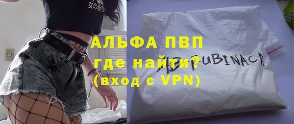 PSILOCYBIN Бородино