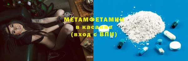 PSILOCYBIN Бородино