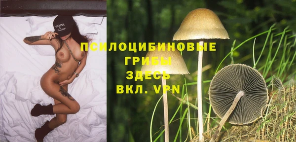 PSILOCYBIN Бородино