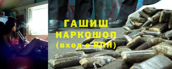 PSILOCYBIN Бородино