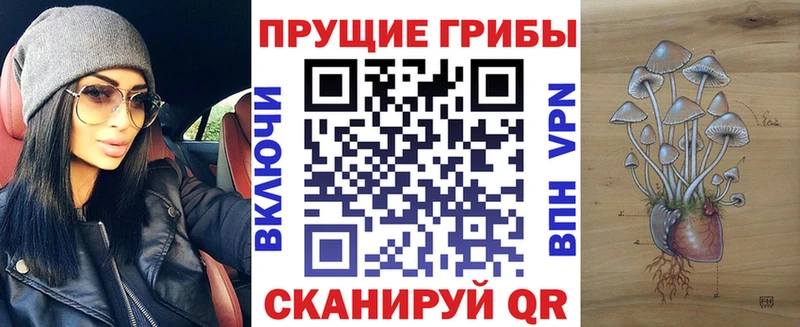МЕГА tor Острогожск Галлюциногенные грибы мухоморы магазин наркотиков